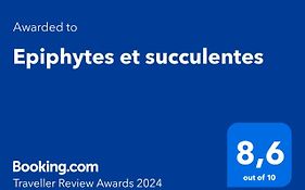 Epiphytes Et Succulentes