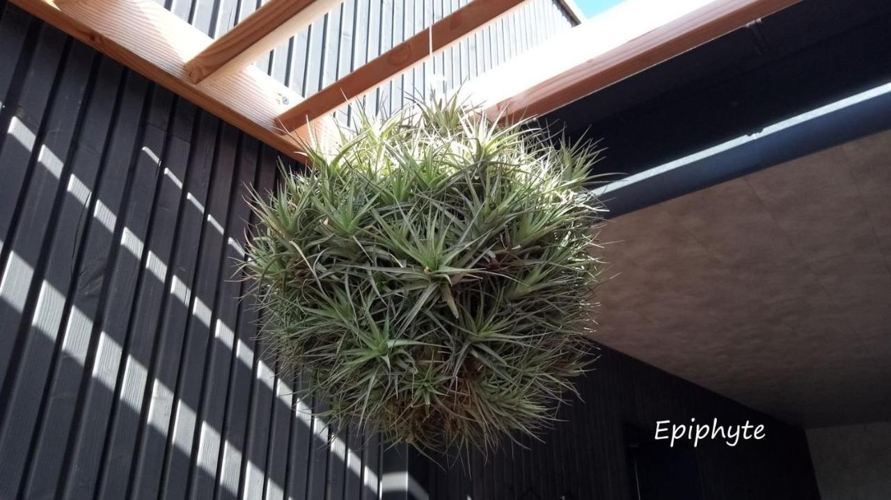 Appartement Epiphytes Et Succulentes à Paimpol Extérieur photo